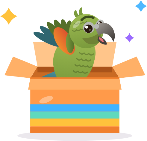 A cheeky green kea popping out of a colourful cardboard box